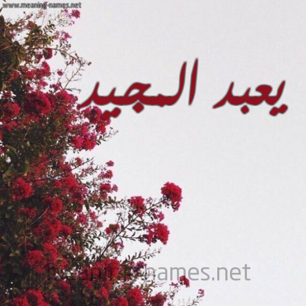 شكل 18 صوره الورد الأحمر للإسم بخط رقعة صورة اسم يعبد المجيد Abdal-Majeed